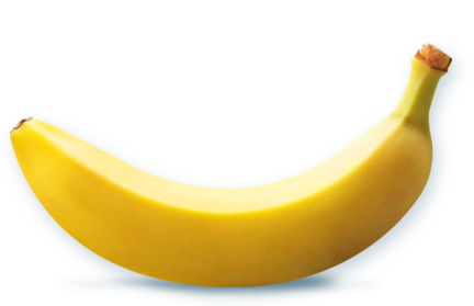 josevidal-banana