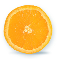josevidal-naranja